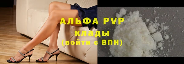 хмурый Касимов
