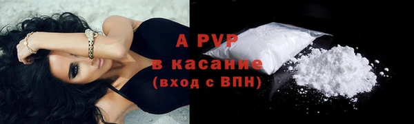 хмурый Касимов