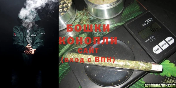 хмурый Касимов